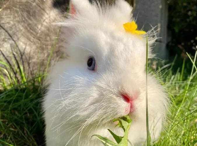 Naturspiel Posing