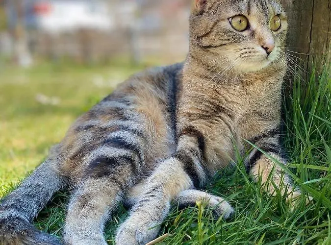 Naturspiel Posing