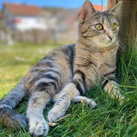 Naturspiel Posing